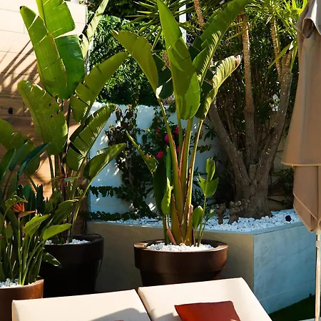 Typic Oasis Sa Tanca Apartment